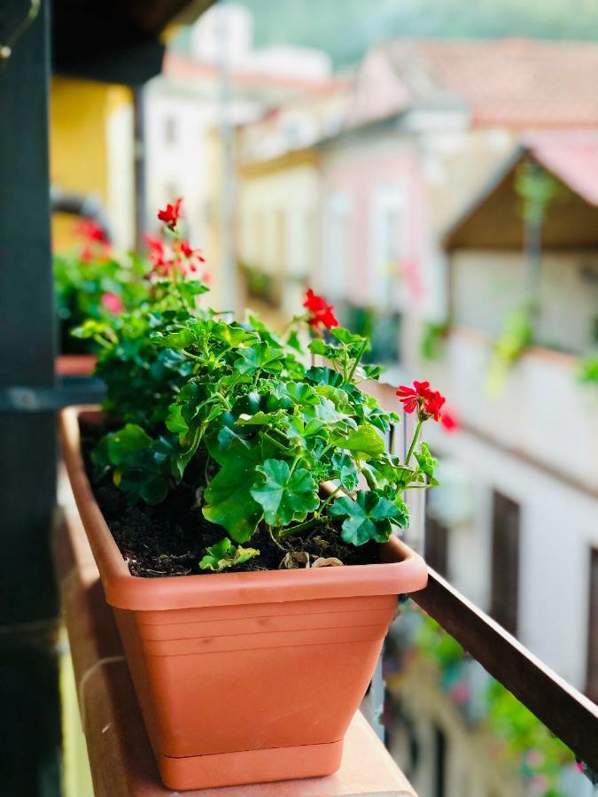 Il Terrazzino Iglesias Bed & Breakfast Exterior photo
